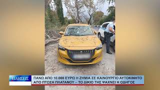 Βόλος Πάνω από 10.000 ευρώ η ζημιά σε καινούργιοαυτοκίνητο από πτώση πλατάνου 131026