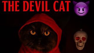Asal the Mysterious Cat | Halloween Magic 🎃👑