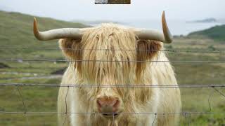 Itinerario Di 10 Giorni In Auto Per La Scozia