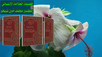 كتاب تأويل جزء عَمَّ…… تأويل سورة النصر