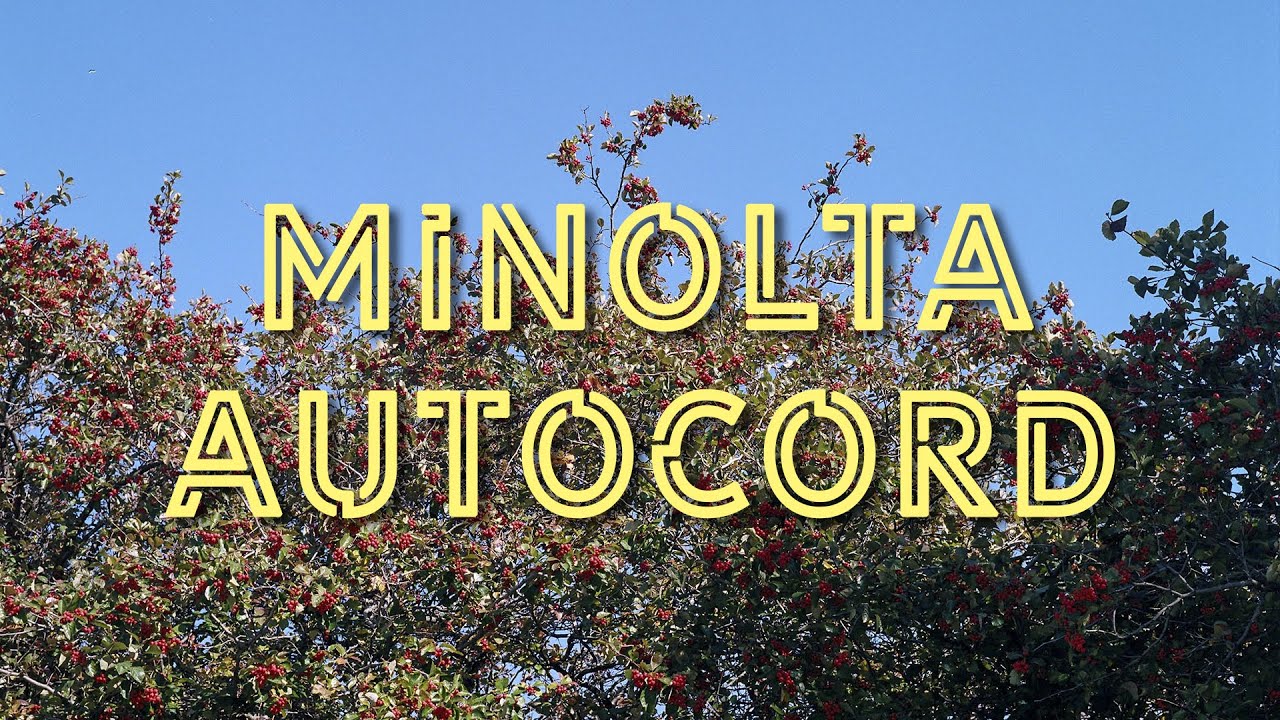 Minolta Autocord - Review with samples - YouTube