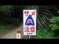 サメが出没する所に癒される隠れスポットがあった【奄美大島遠征】