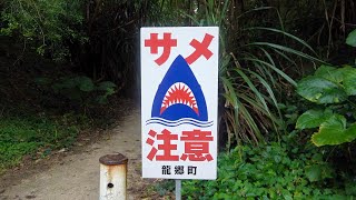 サメが出没する所に癒される隠れスポットがあった【奄美大島遠征】