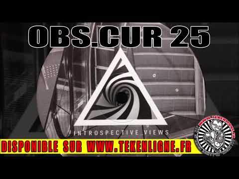 Introspective Views — OBS.CUR Records 25- Introspective View