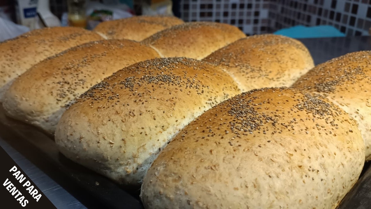 PAN SALVADO CASERO | Mini Curso Completo con 2 KG de Harina | 8 Panes Grandes