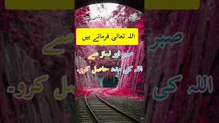 golden quotes |urdu quotes|| urdu collection |#short #islamic #islamicquotes #urdu #islam #amazing