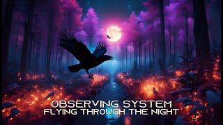 Flying Through the Night (2023 remix)