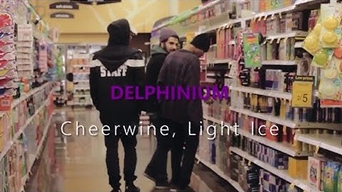 Cheerwine, Light Ice [Music Video] - Delphinium