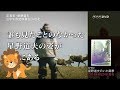 DVD星野道夫のいた風景PV