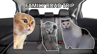 CAT MEME: Family Road Trip