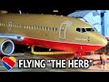 Flying the Herbert D. Kelleher RETRO Jet