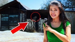 EXPLORING HAUNTED ABANDONED TOWN Searching for YOUTUBE HACKER