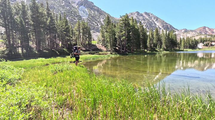 50+ FISH IN ONE TRIP | 2 Days Hiking, Fly Fishing, and Backpacking the Eastern Sierra