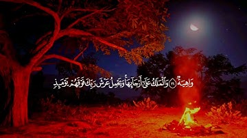 ارح سمعك😴🎧القارئ عبدالبديع غيلان || سورة الحاقة Reader Abdel Badie Ghailan || Surah Al-Haqqa