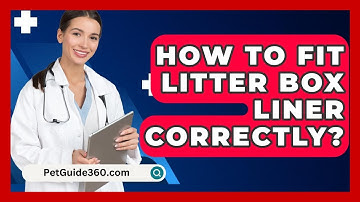How To Fit Litter Box Liner Correctly? - PetGuide360.com