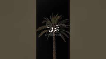 تلاوة عطرة للشيخ ياسر الدوسري حفظه الله #اكسبلور #حالات_واتس #القران #راحة_نفسية #الصلاه #لايك