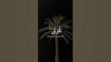 تلاوة عطرة للشيخ ياسر الدوسري حفظه الله  #اكسبلور #حالات_واتس #القران #راحة_نفسية #الصلاه #لايك