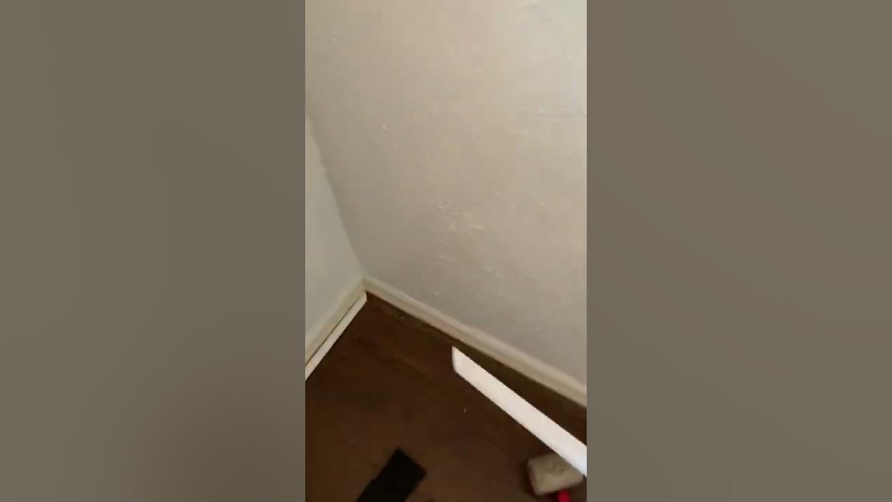 How to cut quarter round at a 90 degree angle YouTube