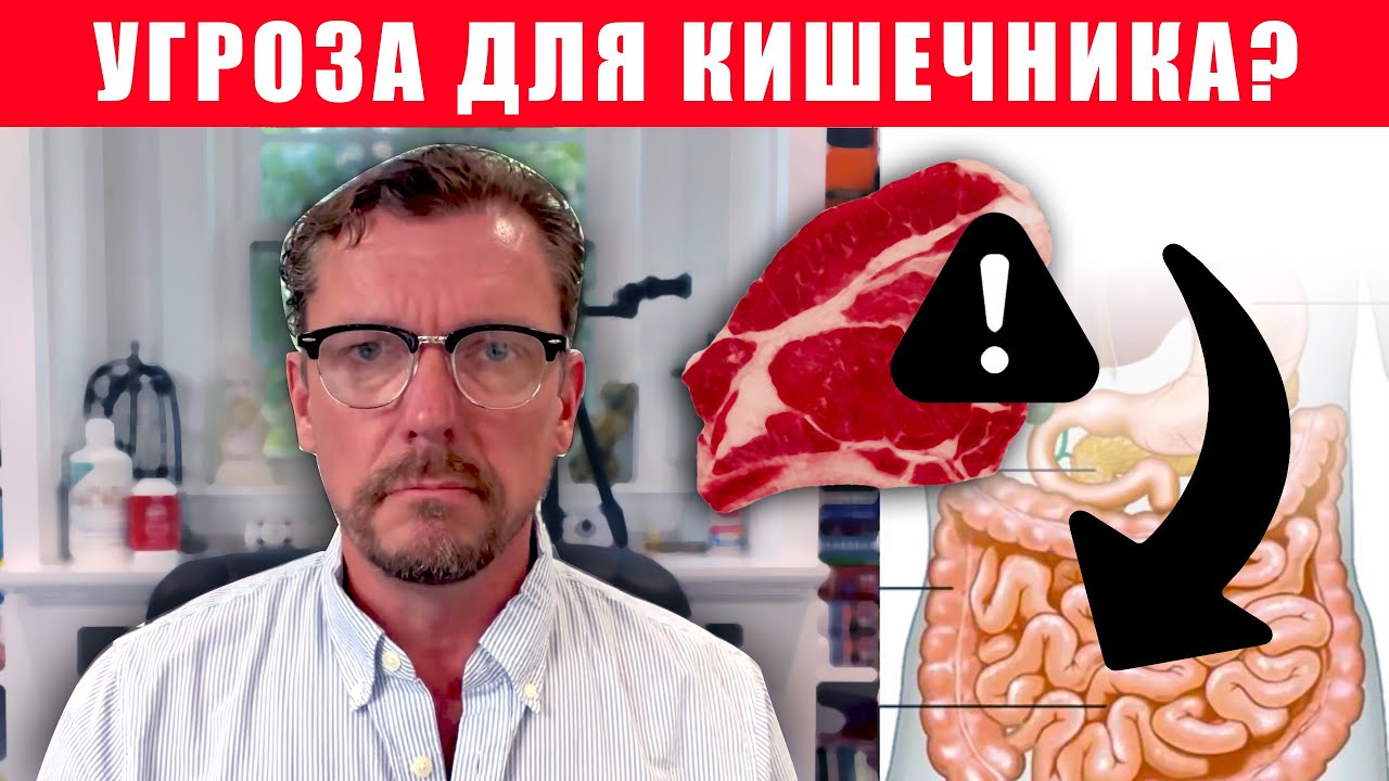 Мясо ГНИЕТ в Кишечнике? (И что там гниет на самом деле..)