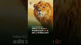 Lion 4k Motivational Whatsapp Status| Motivational Shayari Status | 4K Status Full Screen Video 2021