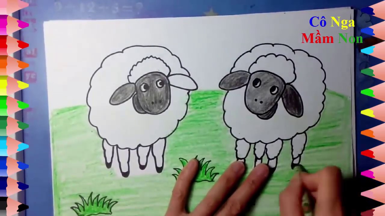 Hướng dẫn bé vẽ con cừu- vẽ tranh con cừu- How to draw and color a ...