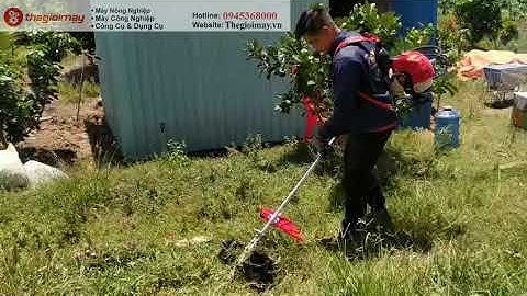 Test Máy xạc cỏ oshima 1e44f-0945368000