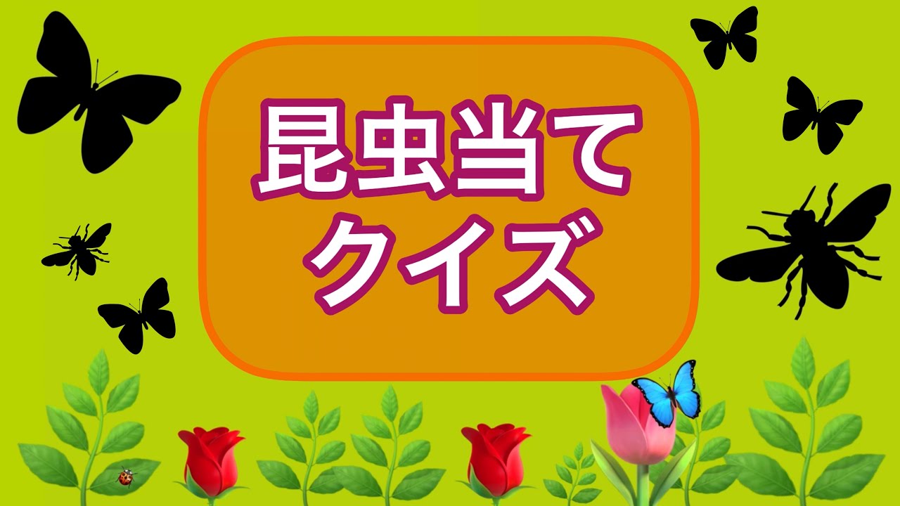 閲覧注意 昆虫当てクイズ 虫が苦手な方は見ないで下さい Youtube