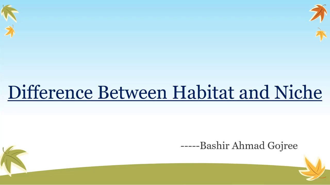 difference-between-habitat-and-niche-youtube