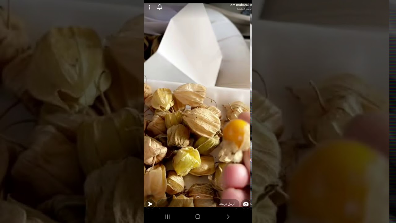 جوله ام مبارك غاده المسلم في القاهره 14/2/2021