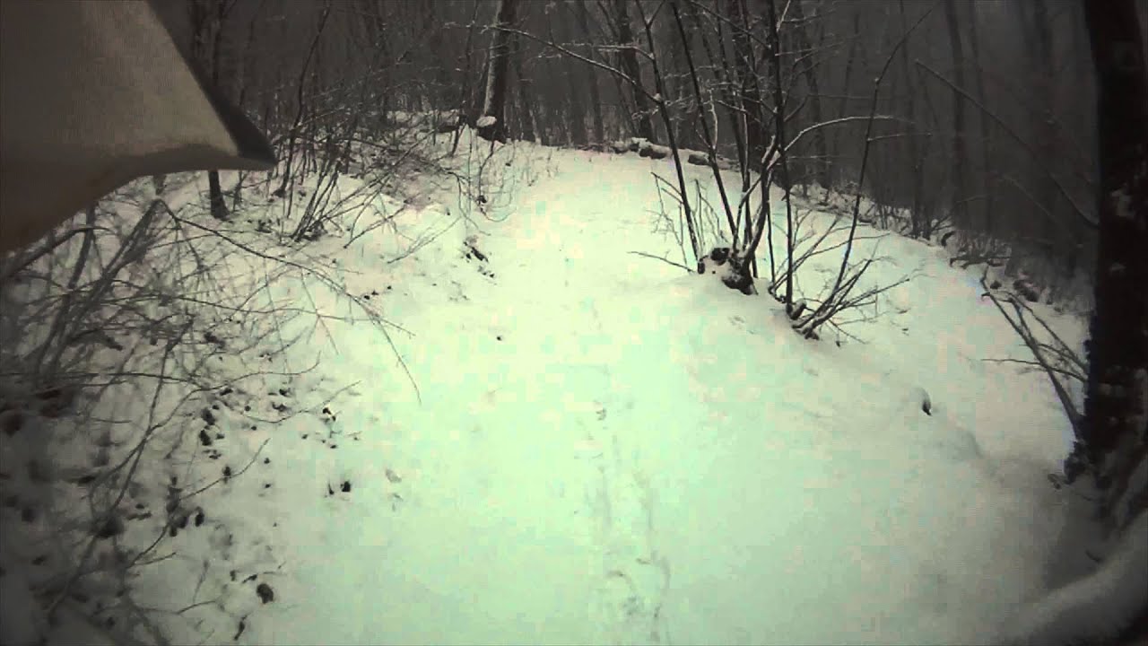 Winter Down Hill Hungary 2013