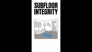 What a Water Damage Restoration Company Sees You Don't | Decatur, GA #shorts