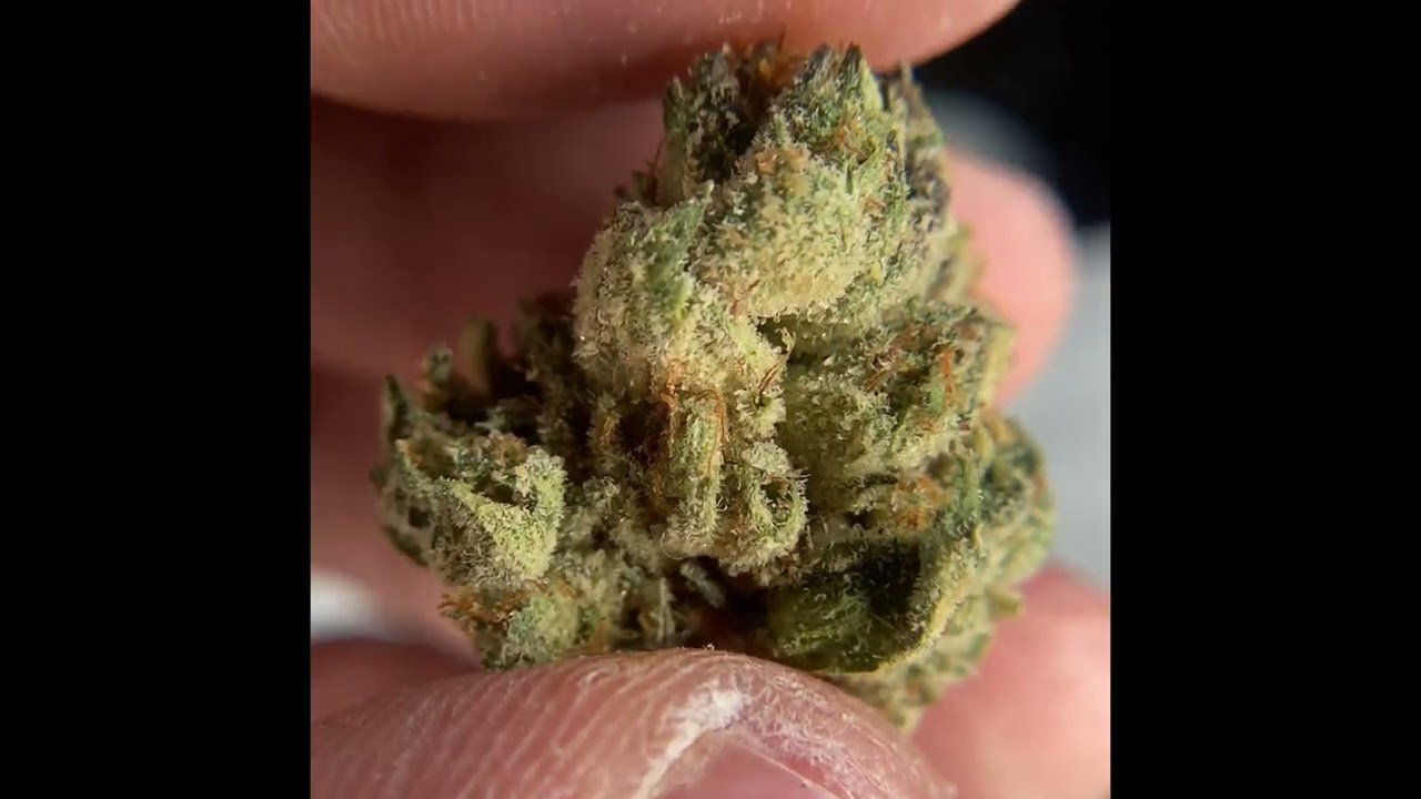 Fig Farms Blue Face Review