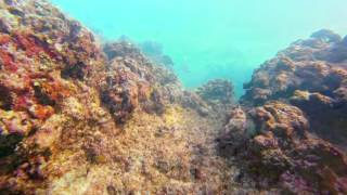Kahe Point 20160109