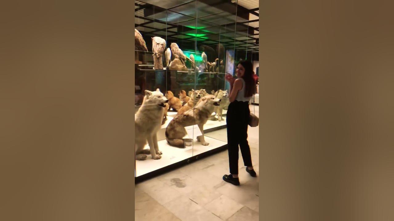 Государственный Дарвиновский музей😍 ул. Вавилова, 57, Москва - YouTube