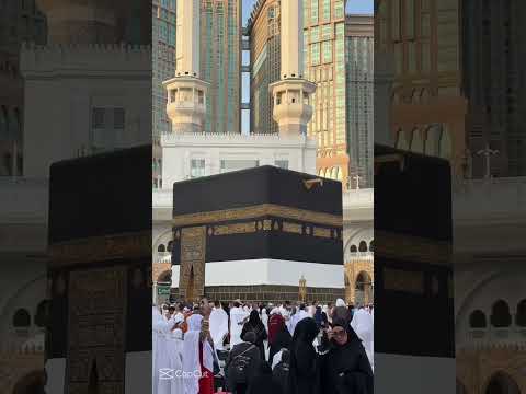 ٩ مايو ٢٠٢٦