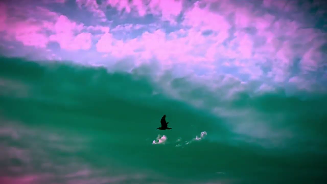 ALYA LaLL- Free (Official Music Video) 2025 Melismatic Vocals | Bass Trap Fusion