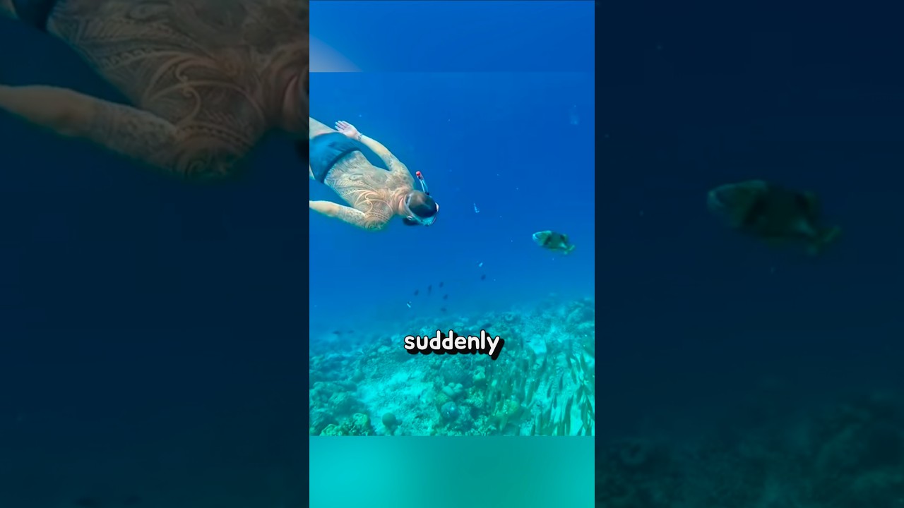 The Yellow Bully of the Sea