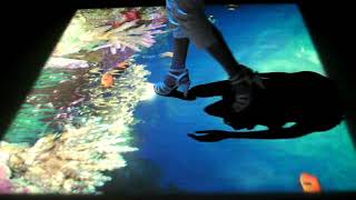 6014 Under sea
