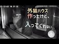 外猫ハウスをもう1つ作ったけど、猫が入ってくれません…