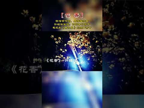 花香 许绍洋