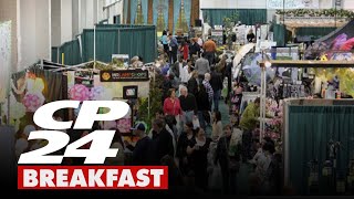 CP24 Breakfast's Live in the City events for the week of March 8th, 2024