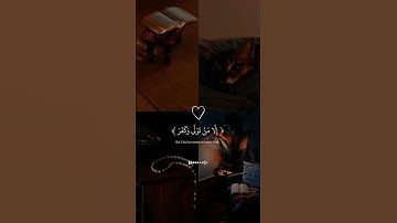 أَفَلا يَنْظُرُونَ إِلَى الإبِلِ كَيْفَ خُلِقَتْ - سورة الغاشية - للقارئ عبد الرحمن مسعد