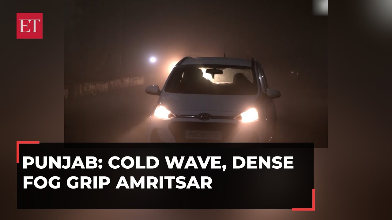 Punjab: Dense fog and cold wave continue to disrupt normal life in Amritsar