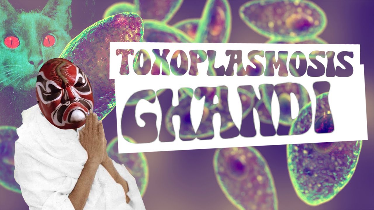 Parasite Pill and Quantum of Conscience Matt McKinley Rabbit Hole  🔴DWO Live! [Toxoplasmosis Ghandi]