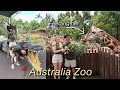 Going to the most popular zoo in australia  steve irwin zoo  feeding giraffes  travel