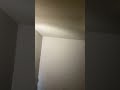 You Re Awesome Youtubeshorts 