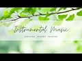 Nhạc không lời thư giãn, nhẹ nhàng | Soothing, relaxing and peaceful instrumental music [#14]