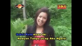 Jaket Iki (Prapatan Mastrip) - Novita Anggraini