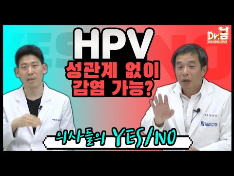 HPV 성관계 없이 감염 가능? 의사들의 YES/NO #HPV전파#질병관리본부