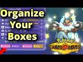 How to Organize Your Boxes to Make BETTER TEAMS in Pokemon Champions